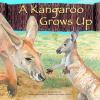 A_kangaroo_grows_up