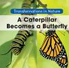 A_caterpillar_becomes_a_butterfly