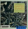 A_gathering_of_garter_snakes