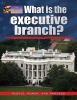 What_is_the_executive_branch_