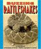 Buzzing_rattlesnakes