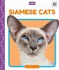 Siamese_cats