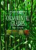 The_plantfinder_s_guide_to_ornamental_grasses