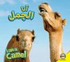 I_am_a_camel
