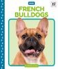 French_bulldogs