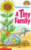 A_tiny_family