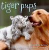 Tiger_pups