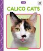 Calico_cats