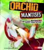 Orchid_mantises_and_other_extreme_insect_adaptations