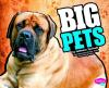 Big_pets