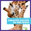 Giraffe_calves_in_the_wild