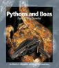 Pythons_and_boas