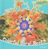 Who_lives_in_a_colorful_coral_reef_