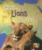 Watching_lions_in_Africa