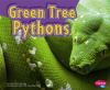 Green_tree_pythons