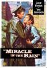 Miracle_in_the_rain
