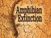 Amphibian_Extinction
