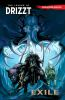 Dungeons___Dragons__The_Legend_of_Drizzt_Vol__2_Exile