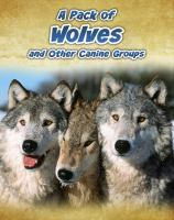 A_pack_of_wolves__and_other_canine_groups