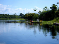 The_Amazon_river