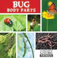 Bug_body_parts