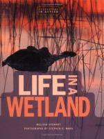 Life_in_a_wetland