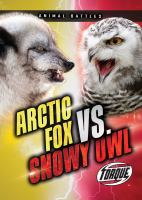 Arctic_fox_vs__snowy_owl