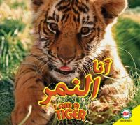 I_am_a_tiger