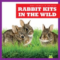 Rabbit_kits_in_the_wild