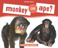 Monkey_or_ape_