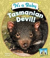 It's a baby Tasmanian devil!