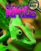 Focus_on_reptiles