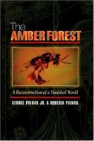 The_amber_forest