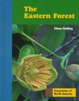 The_eastern_forest