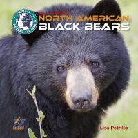 All_about_North_American_black_bears