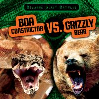 Boa_constrictor_vs__grizzly_bear