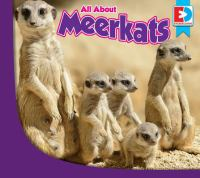 All_about_meerkats