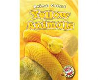 Yellow animals