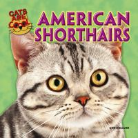 American_shorthairs