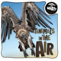 Animals_in_the_air
