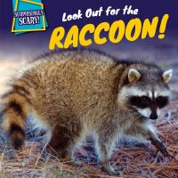 Look_out_for_the_raccoon_