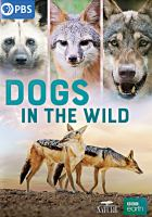 Dogs_in_the_wild