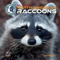 All_about_North_American_raccoons