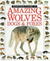Amazing_wolves__dogs___foxes