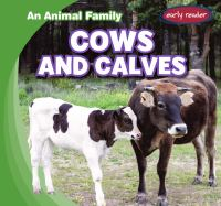 Cows_and_calves