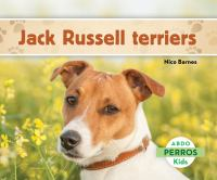 Jack_Russell_terriers