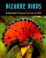 Bizarre_birds