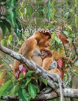A_visual_guide_to_mammals