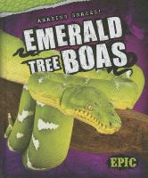 Emerald_tree_boas