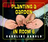 Planting_a_garden_in_room_6